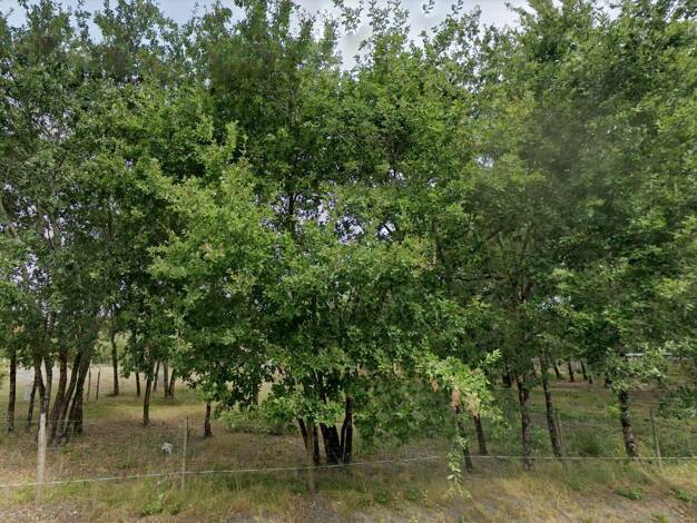 Terrain constructible à vendre 350 000 € 808 m² de terrain Meyran Gujan-Mestras 33470