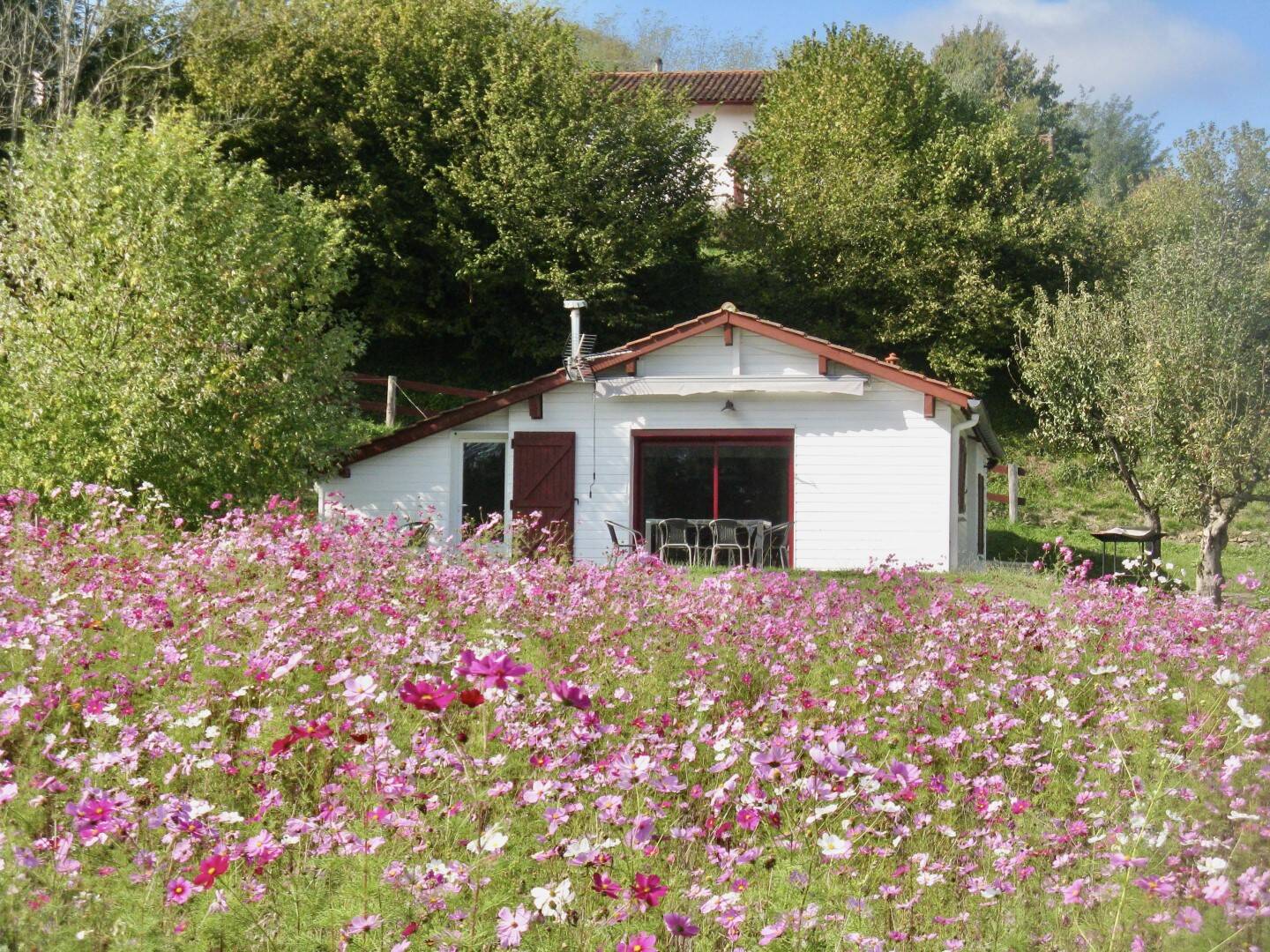 Maison à vendre, 377m², SAINT JEAN PIED DE PORT