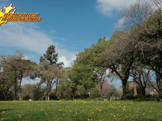 Terrain constructible viabilisé à vendre 84 000 € 400 m² de terrain Ondes 31330