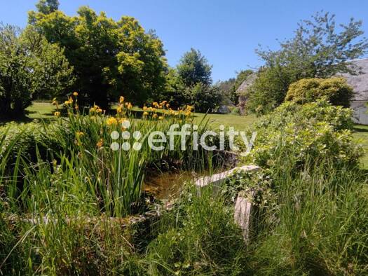 Maison de plain-pied à vendre 166 000 € 8 pièces 5 chambres 185 m² 8 565 m² de terrain Rilhac-Treignac 19260
