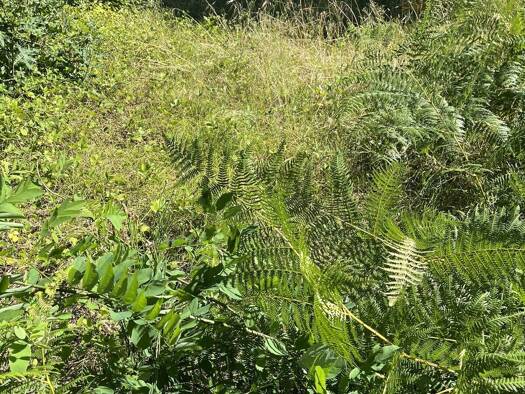Terrain constructible à vendre 170 800 € 600 m² de terrain Audenge 33980