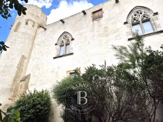 Château à vendre 650 000 € 19 pièces 4 chambres 825 m² Mur-sur-Allier 63115