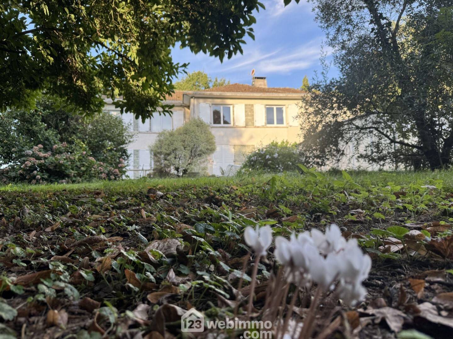 Maison à vendre, 350m², LE BOUPERE