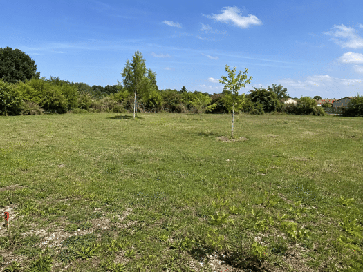 Terrain constructible à vendre 101 660 € 340 m² de terrain Villedoux 17230