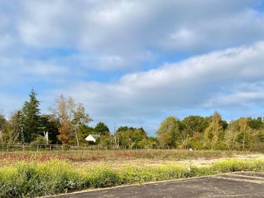 Terrain constructible viabilisé à vendre 150 400 € 743 m² de terrain Grangues 14160