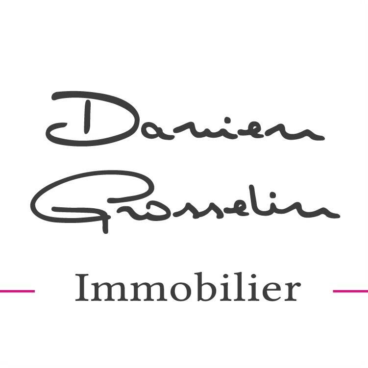 DAMIEN GROSSELIN IMMOBILIER