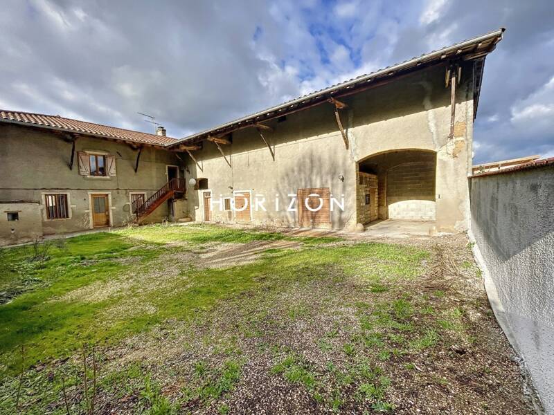 Maison à vendre, 345m², SAINT DIDIER SUR CHALARONNE