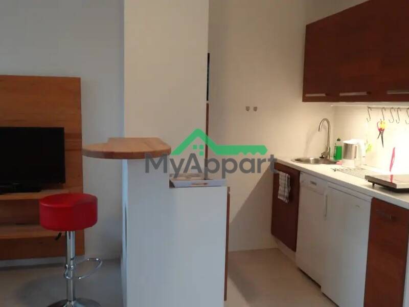 Maison à louer, 25m², PARIS 15E