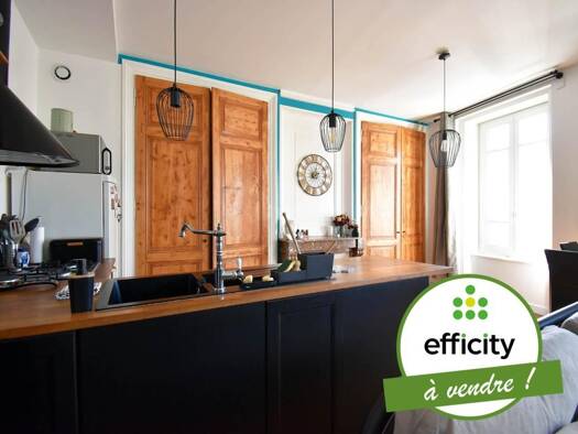 Appartement à vendre 119 000 € 2 pièces 1 chambre 49 m² Étage 1/2 Chazelles-sur-Lyon 42140