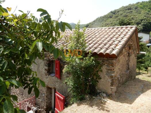 Maison à vendre 162 000 € 3 pièces 2 chambres 52 m² 1 100 m² de terrain Saint-André-de-Valborgne 30940
