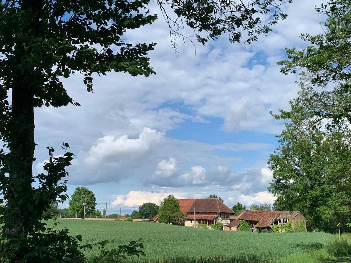 Maison à vendre, 440m², MONTPONT EN BRESSE