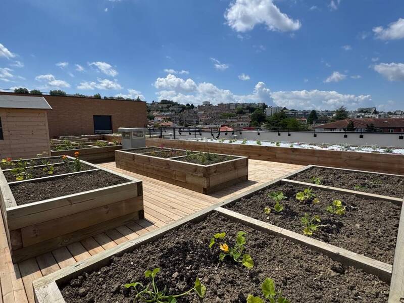 Maison à louer, 48m², TOULOUSE