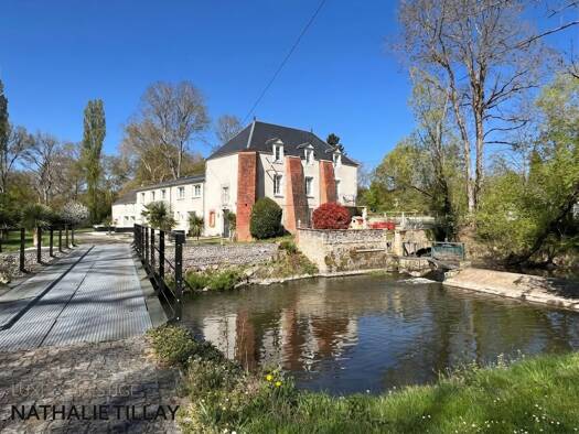 Maison à vendre 685 000 € 12 pièces 5 chambres 350 m² 4 634 m² de terrain Mardié 45430