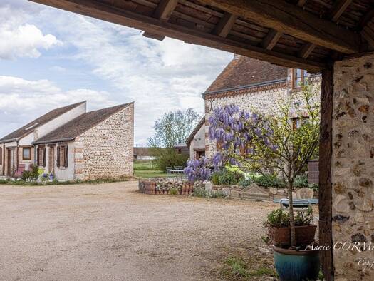 Maison à vendre 548 000 € 7 pièces 5 chambres 245 m² 5 450 m² de terrain Bonnée 45460