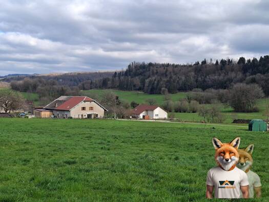 Terrain à vendre 82 500 € 1 833 m² de terrain Saraz 25330