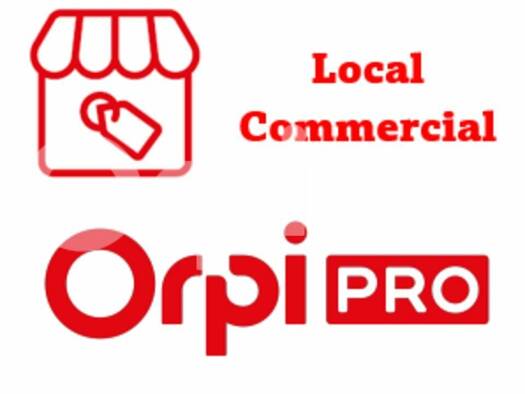 Local commercial à louer 677 € 41,8 m² de surface de vente Sanguinet 40460