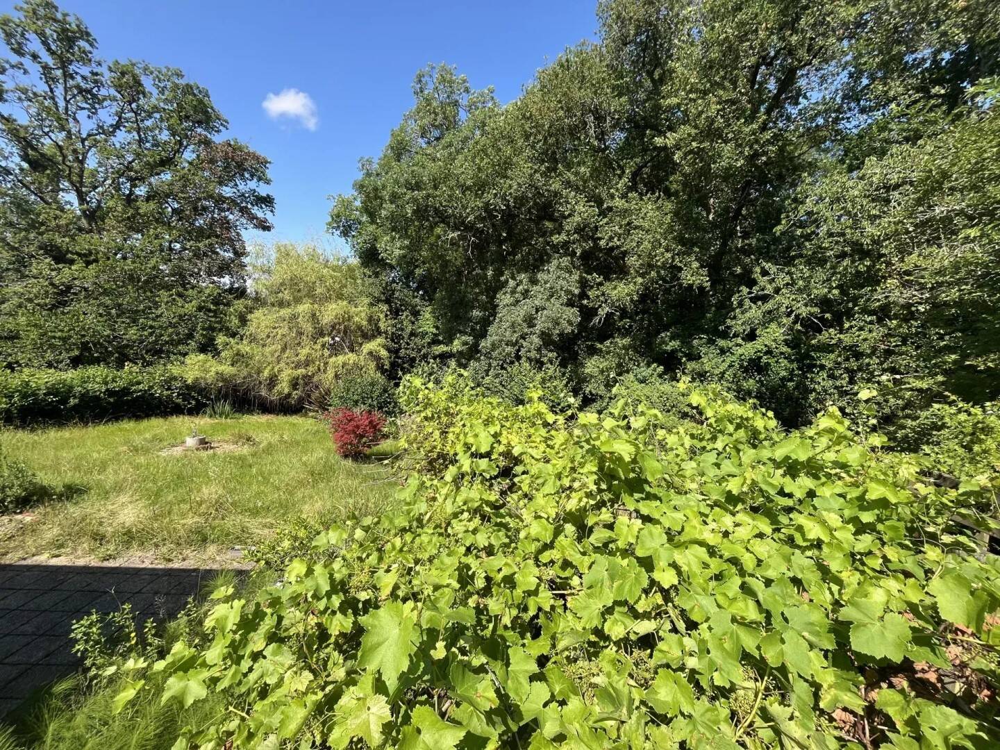 Maison à vendre, 113m², SALIES DE BEARN