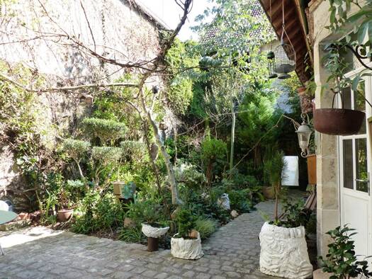 Maison en viager occupé Bouquet 24 500 € 10 pièces 4 chambres 300 m² 246 m² de terrain Châtillon-sur-Loire 45360