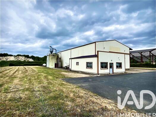 Immeuble à vendre 270 000 € 784 m² Varennes-Changy 45290
