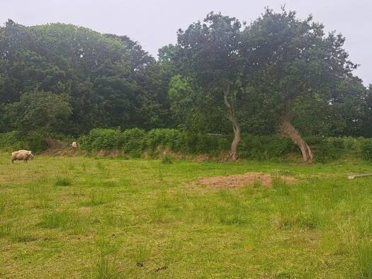 Terrain constructible à vendre 134 500 € 840 m² de terrain Le Conquet 29217