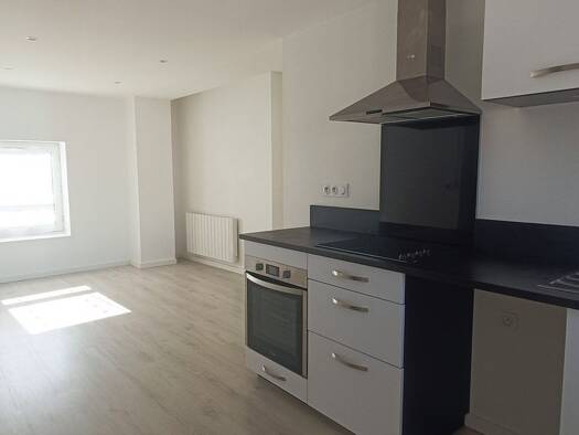 Appartement à louer 545 € 3 pièces 2 chambres 46,9 m² Étage 2/2 Feurs 42110