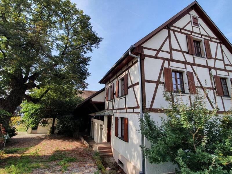 Maison à vendre, 256m², BARTENHEIM