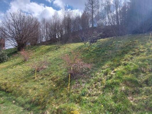 Terrain constructible à vendre 138 000 € 1 022 m² de terrain Gérardmer 88400