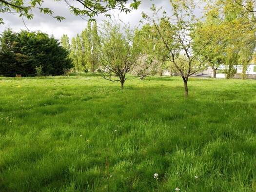 Terrain constructible viabilisé à vendre 95 000 € 466 m² de terrain Partie Est Campagne-Agglomeration Aizenay 85190