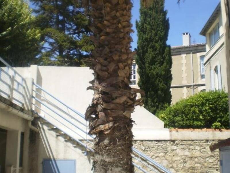 Maison à louer, 24m², NIMES