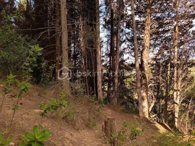 Terrain à vendre 9 000 € 1 625 m² de terrain Tautavel 66720