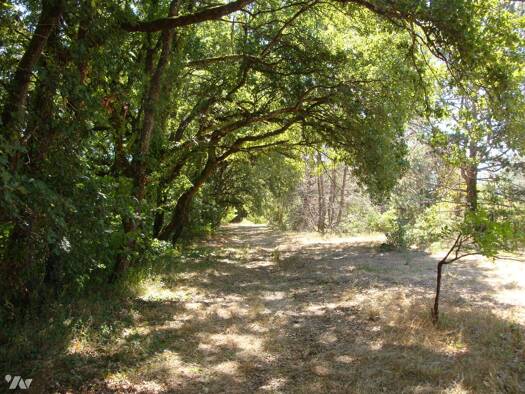 Terrain constructible à vendre 115 000 € 4 000 m² de terrain Villemur-sur-Tarn 31340