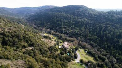 Maison à vendre 1 800 000 € 21 pièces 5 chambres 444 m² 1 800 000 m² de terrain Limoux 11300