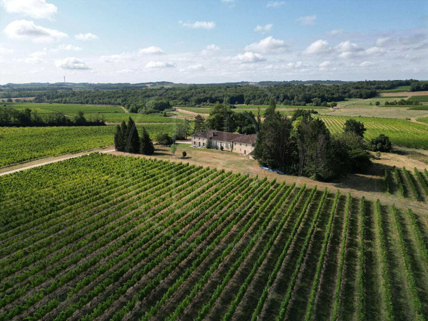 Maison à vendre, 379m², SAUVETERRE DE GUYENNE