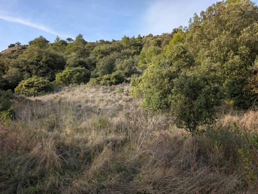 Terrain constructible viabilisé à vendre 75 000 € 2 300 m² de terrain Rieux-en-Val 11220