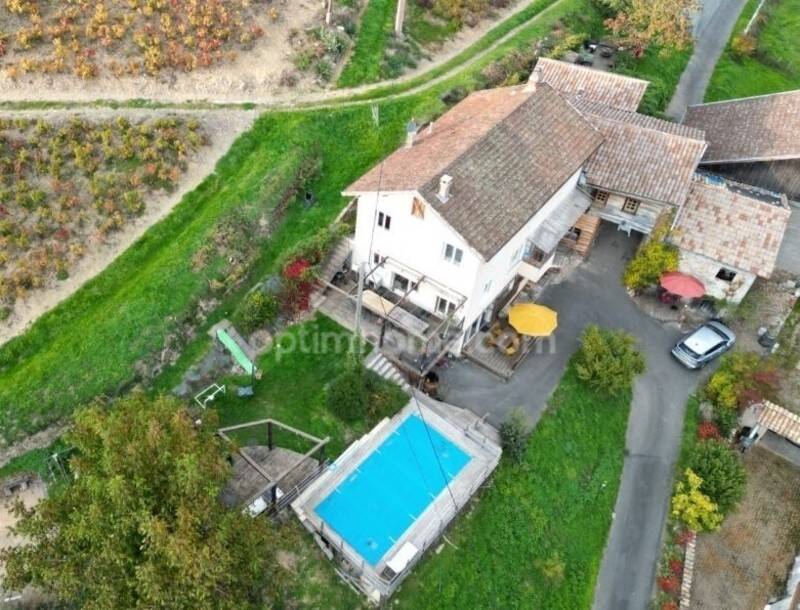 Maison à vendre, 393m², SAINT DIDIER SUR BEAUJEU