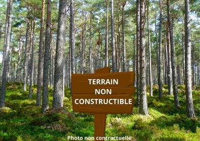 Propriété de loisirs à vendre 4 800 € 12 800 m² de terrain Bussac Foret 17210