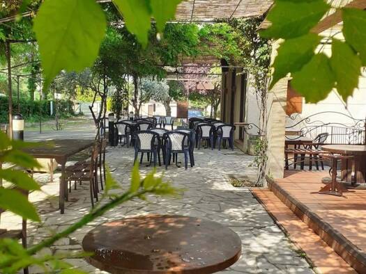 Bar / Café à vendre Fonds de commerce 364 500 € 256 m² d'espace de restauration Oraison 04700