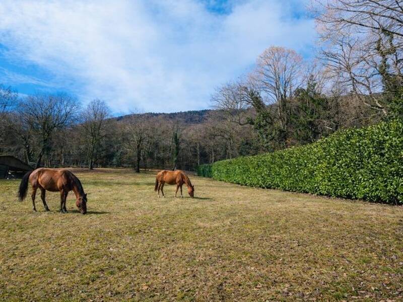 Maison à vendre, 297m², LE BOURGET DU LAC