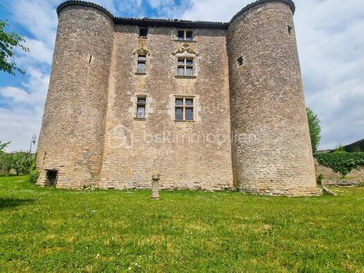 Château à vendre 450 000 € 10 pièces 3 chambres 500 m² 1 800 m² de terrain Exoudun 79800