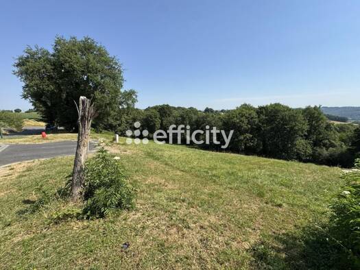 Terrain constructible viabilisé à vendre 25 000 € 807 m² de terrain Simacourbe 64350