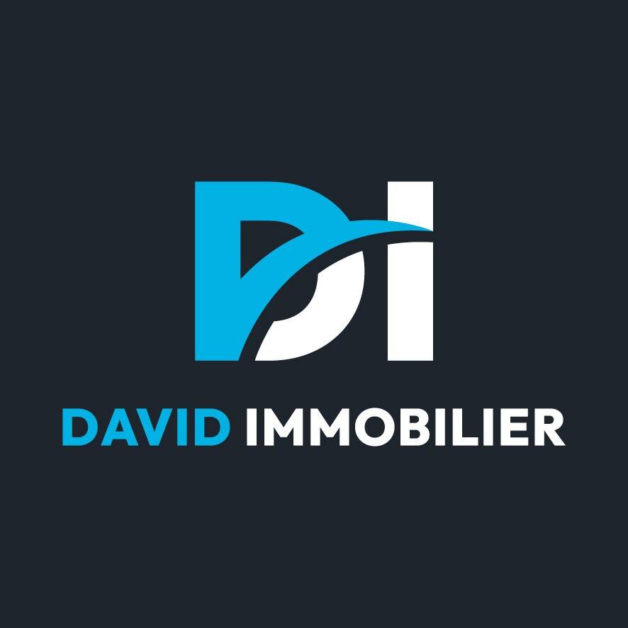 David Immobilier