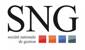 S.N.G IMMOBILIER