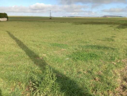 Terrain constructible à vendre 38 000 € 2 000 m² de terrain Val-des-Marais 51130