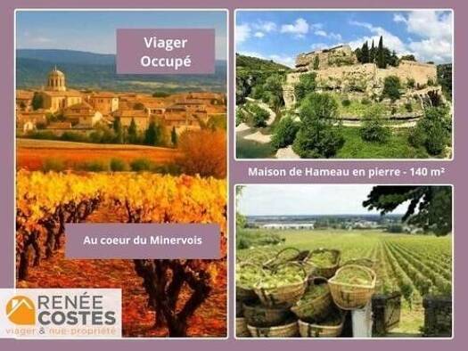 Maison en viager occupé Bouquet 37 600 € 7 pièces 4 chambres 140 m² La Livinière 34210