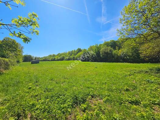 Propriété de loisirs à vendre 44 000 € 4 393 m² de terrain Brignancourt 95640
