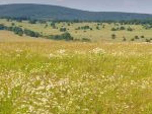 Terrain constructible viabilisé à vendre 60 900 € 495 m² de terrain Centre Ville Mont-de-Marsan 40000