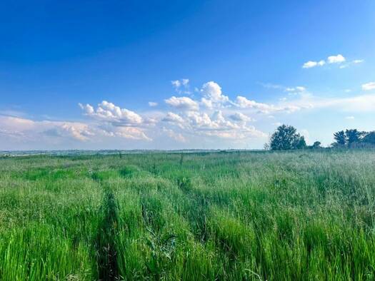Terrain constructible viabilisé à vendre 125 900 € 840 m² de terrain Bazus 31380