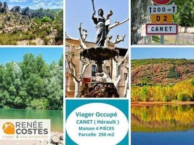 Maison en viager occupé Bouquet 61 427 € 4 pièces 2 chambres 87 m² 250 m² de terrain Canet 34800