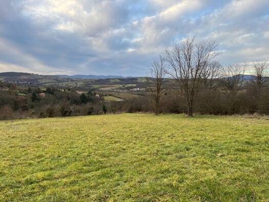 Terrain constructible à vendre 175 000 € 1 100 m² de terrain Val d'Oingt 69620