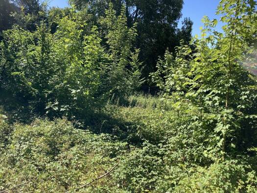 Terrain constructible à vendre 85 000 € 2 000 m² de terrain Rebais 77510